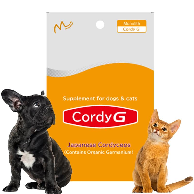 Cordy G Japanese Cordyceps Supplement thumb 1